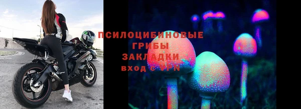 эйфоретик Ряжск
