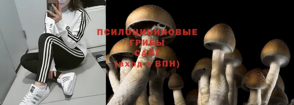 хмурый Абинск