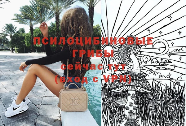 хмурый Абинск